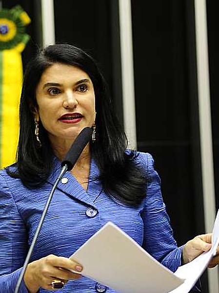 Comissão de Finanças e Tributação será presidida por Simone Morgado