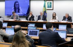 Redução de alíquotas de importação de bens é discutida em Audiência Pública