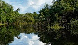 05 de setembro – Dia da Amazônia