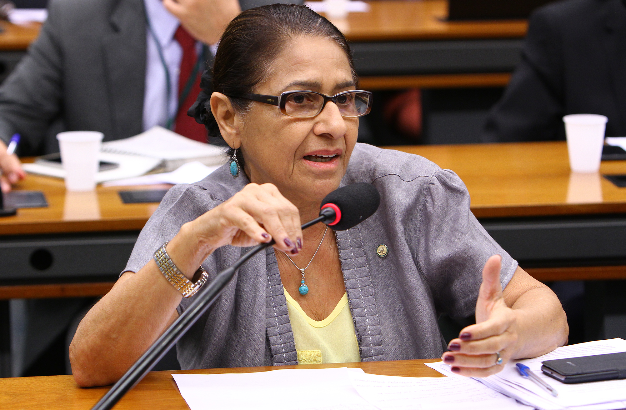 No Dia Internacional dos Povos Indígenas, a Deputada Janete Capiberibe afirma que esta é uma data de luta.