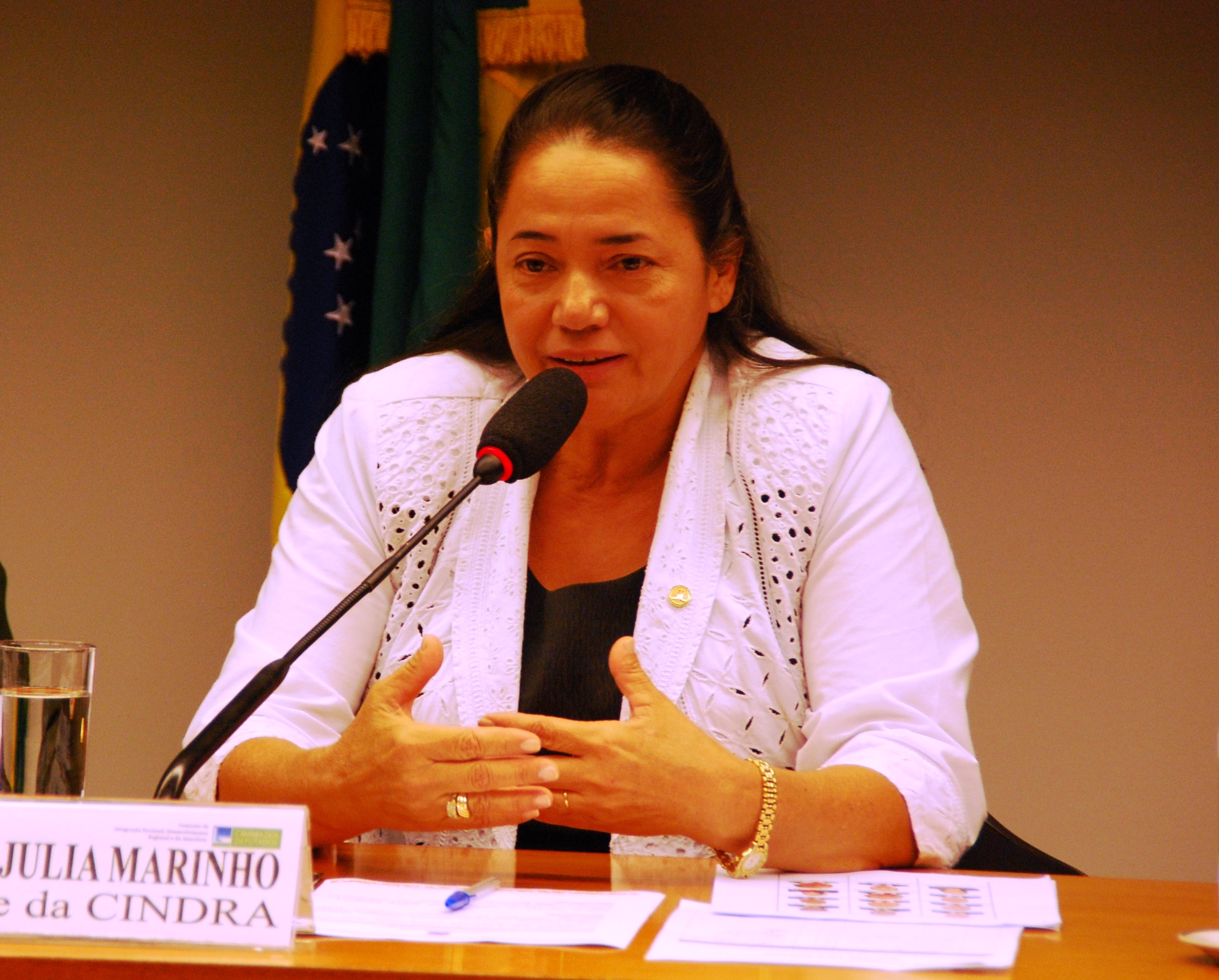 Audiência vai debater o Programa Amazônia Conectada