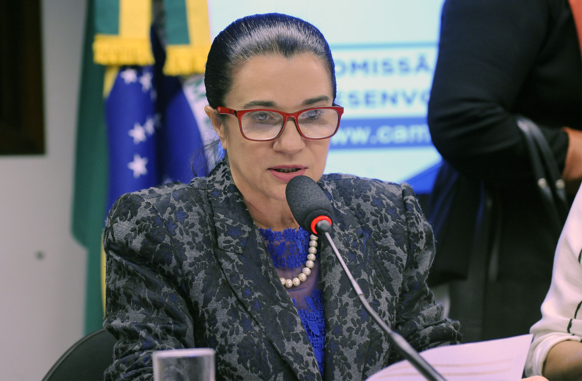 Comissão aprova prorrogação de incentivos fiscais em áreas de atuação de Sudam, Sudene e Sudeco