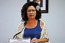 Comissão aprova recursos para combate a catástrofes em municípios