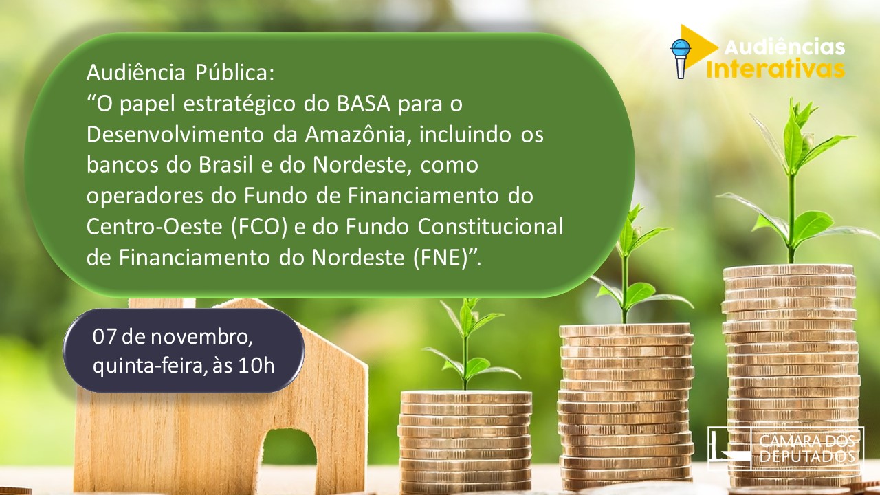 Comissão debate o papel estratégico do Basa para o desenvolvimento da Amazônia