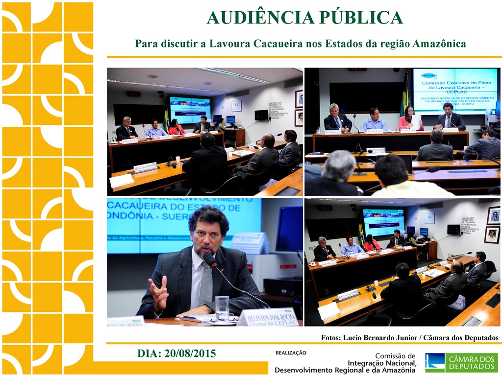 Debatedores defendem mais investimentos para amparar cacaueiros da Amazônia