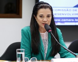Deputada Marinha Raupp é eleita presidente da Comissão Nacional de Integração Nacional, Desenvolvimento Regional e da Amazônia