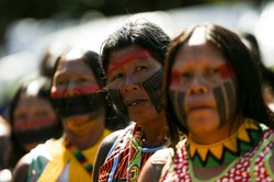Deputados cobram proteção específica aos indígenas diante do novo coronavírus