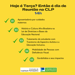 Autismo, gordofobia e mobilidade para pessoas com deficiência visual: novas  pautas da CLP