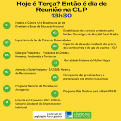 CLP aprova debates sobre mortalidade materna entre mulheres negras e direitos da classe trabalhadora 