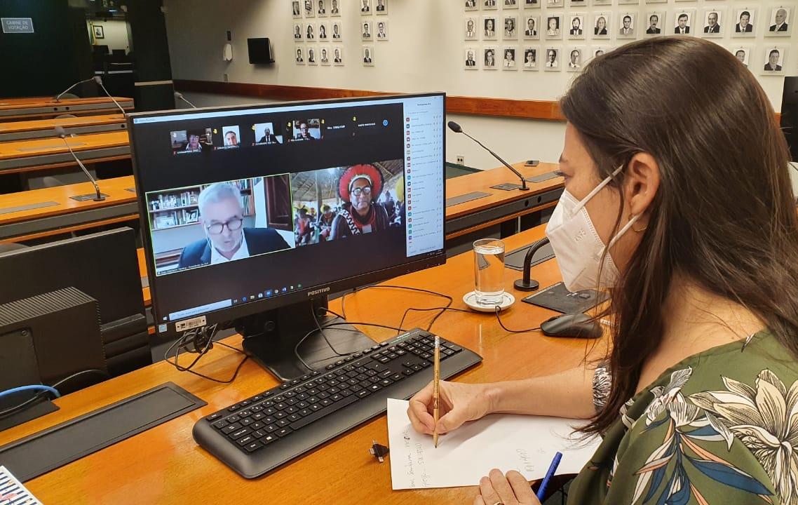 Sociedade civil apresenta sugestões e demandas para o plano de trabalho da CLP em 2021 