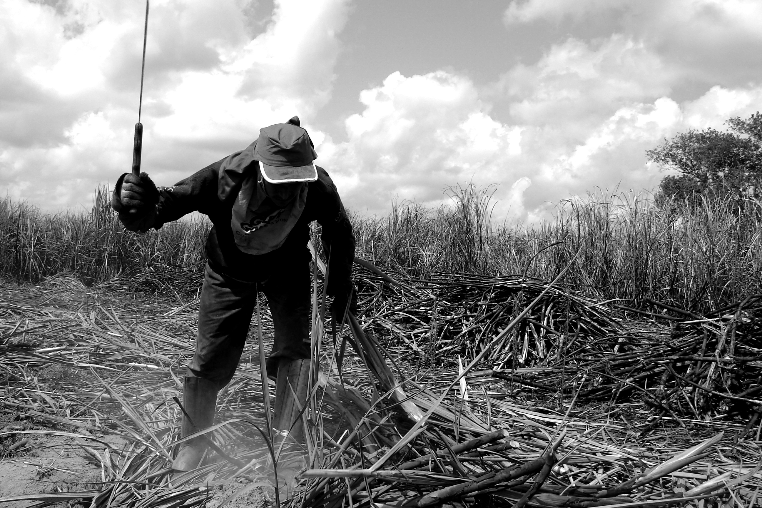 Trabalho escravo em propriedades rurais e urbanas será debatido na CLP