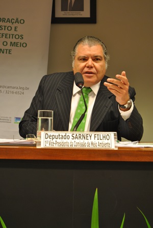 Deputado Sarney Filho (PV/MA).