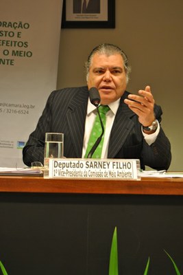 Deputado Sarney Filho (PV/MA).