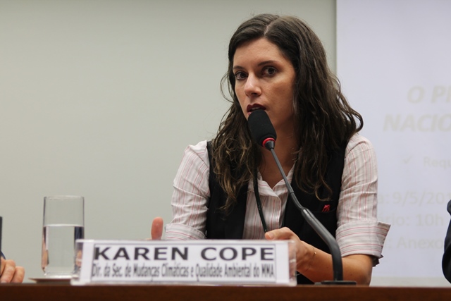 Karen Cope - Diretora de Licenciamento e Avalização Ambiental da Secretária de Mudanças Climáticas e Qualidade Ambiental do Ministério do Meio Ambiente.