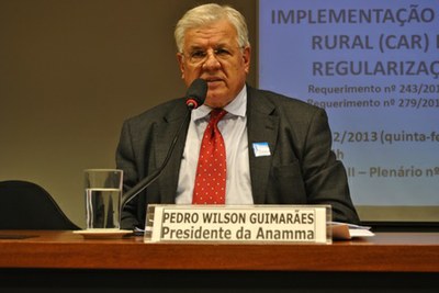 Pedro Wilson Guimarães, Presidente da Anama - Associação Nacional dos Órgãos Municipais de Meio Ambiente.