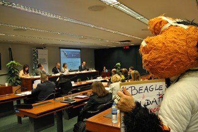 Comissão de Meio Ambiente discute o caso de maus-tratos a animais do Instituto Royal.