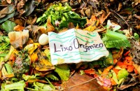 16/05/2017 - DEBATE SOBRE COMPOSTAGEM DE RESÍDUOS SÓLIDOS ORGÂNICOS