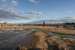 Audiência pública conjunta vai discutir a situação atual da Bacia Hidrográfica do Rio São Francisco e as medidas em andamento para sua revitalização.