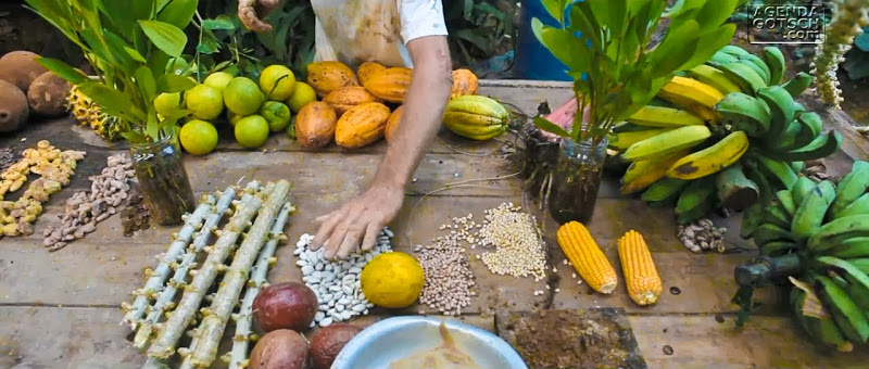 AUDIÊNCIA PÚBLICA - DESAFIOS DA AGRICULTURA E/OU SUSTENTABILIDADE