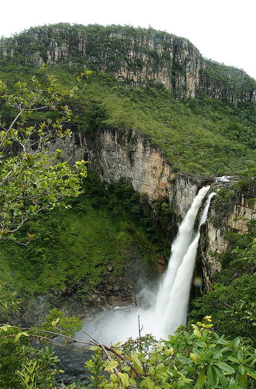 Câmara promove exposição em homenagem ao Dia do Cerrado