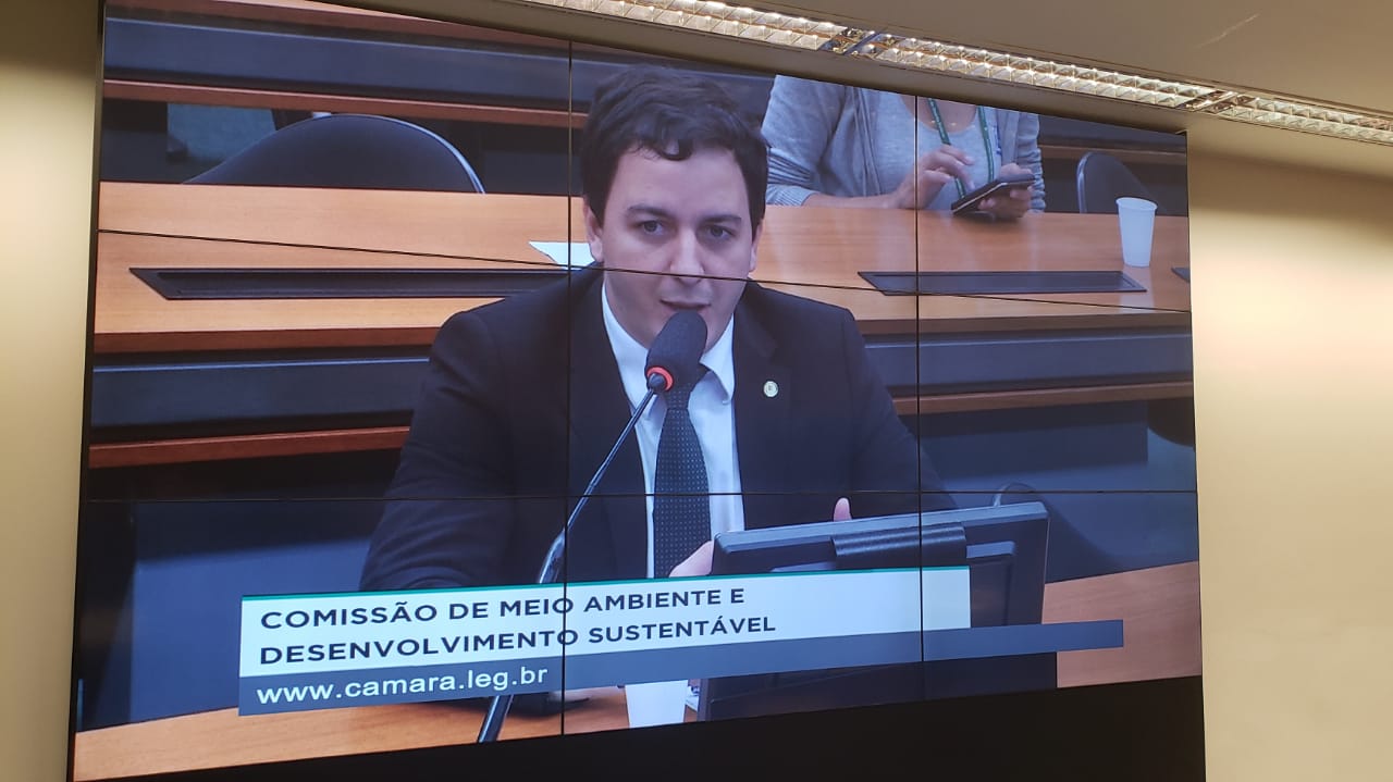 Célio Studart é eleito presidente da Subcomissão em Defesa dos Direitos dos Animais