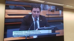 Célio Studart é eleito presidente da Subcomissão em Defesa dos Direitos dos Animais