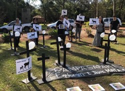 CMADS fará audiência pública sobre a intenção de abate de mais de 300 animais no Pampas Safari LTDA