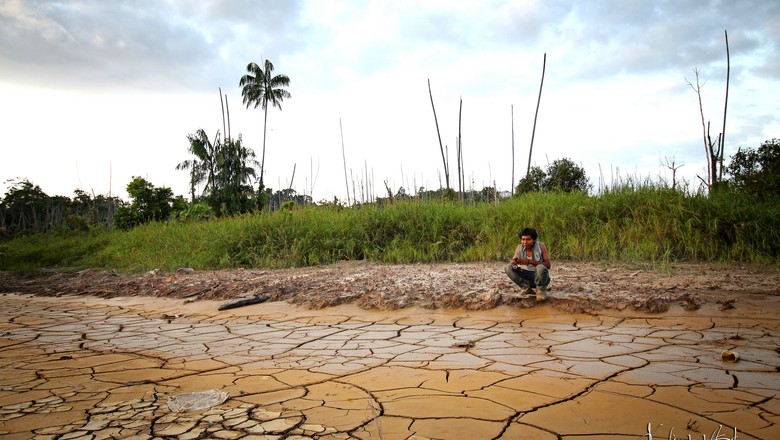 CMADS promoverá seminário sobre povos Indígenas e mudanças climáticas