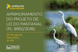Cmads realizou Audiência do Aprimoramento do PL 9950/2018, do Pantanal