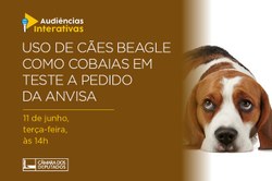 Comissão debaterá o uso de Cães Beagle como Cobaia em testes