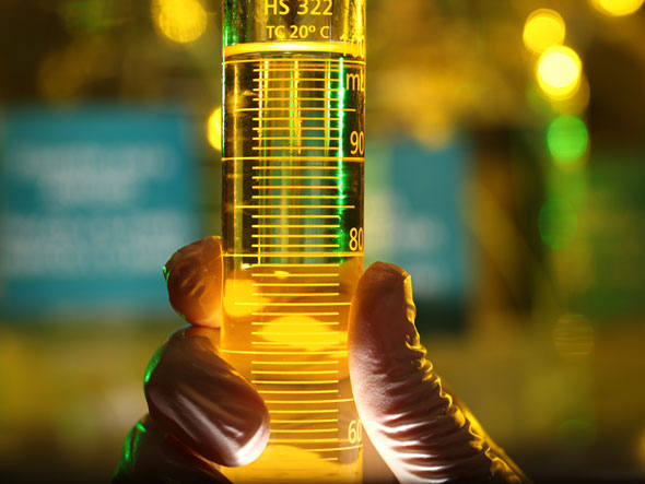 DEBATE SOBRE PL 1.013/2011 QUE DISPÕE SOBRE O CONSUMO DE ÓLEO DIESEL EM VEÍCULOS DE PEQUENO PORTE