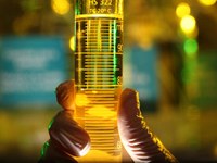 DEBATE SOBRE PL 1.013/2011 QUE DISPÕE SOBRE O CONSUMO DE ÓLEO DIESEL EM VEÍCULOS DE PEQUENO PORTE