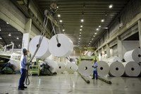 Debate sobre o Setor de Papel e Celulose e seus Impactos Sociais, Ambientais e Econômicos