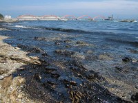 Acidentes com óleo em águas brasileiras serão debatidos na Comissão do Meio Ambiente