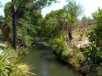 CMADS discute alteração nos limites Parque Nacional das Nascentes do Rio Parnaíba