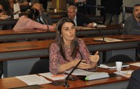 Comissão de Meio Ambiente aprova dois projetos de lei da deputada Rebecca Garcia