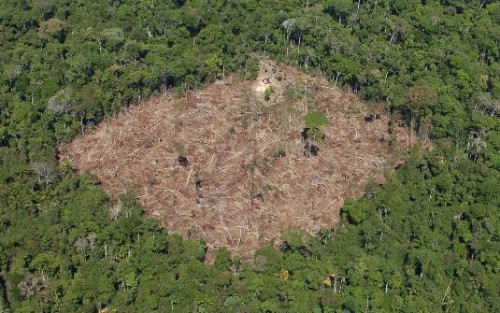 Comissão de Meio Ambiente discute desmatamento na Amazônia