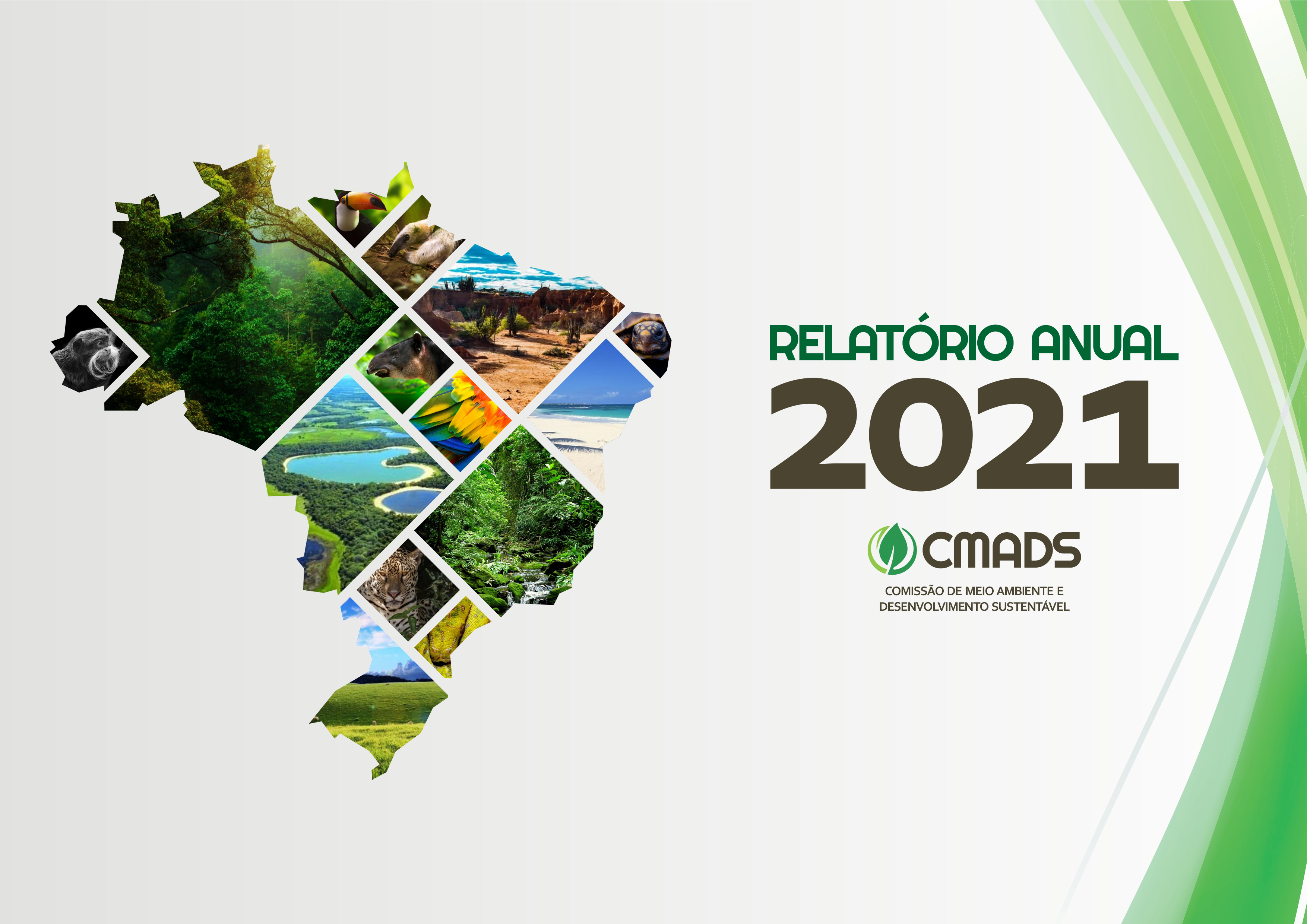 Relatório Anual 2021 CMADS