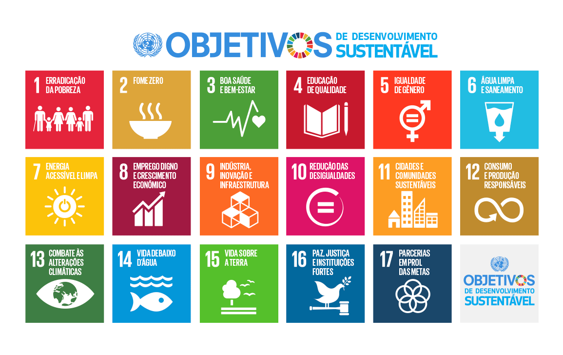 Seminário - Os Objetivos de Desenvolvimento Sustentável: Avanços e Desafios na Implementação da Agenda 2030 no Brasil