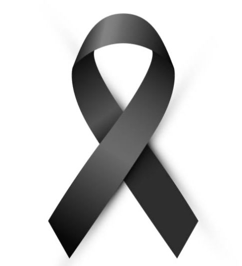 A Comissão de Defesa dos Direitos da Mulher lamenta profundamente o falecimento da Deputada Federal Amália Barros PL-MT