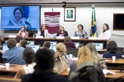 Audiência debateu a prevenção e combate aos crimes de ódio contra as mulheres na Internet