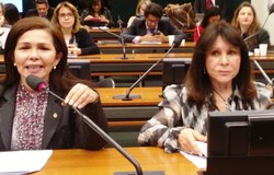 Cirurgia reparadora de mama e aleitamento durante concurso público são alguns dos temas aprovados pela CMULHER