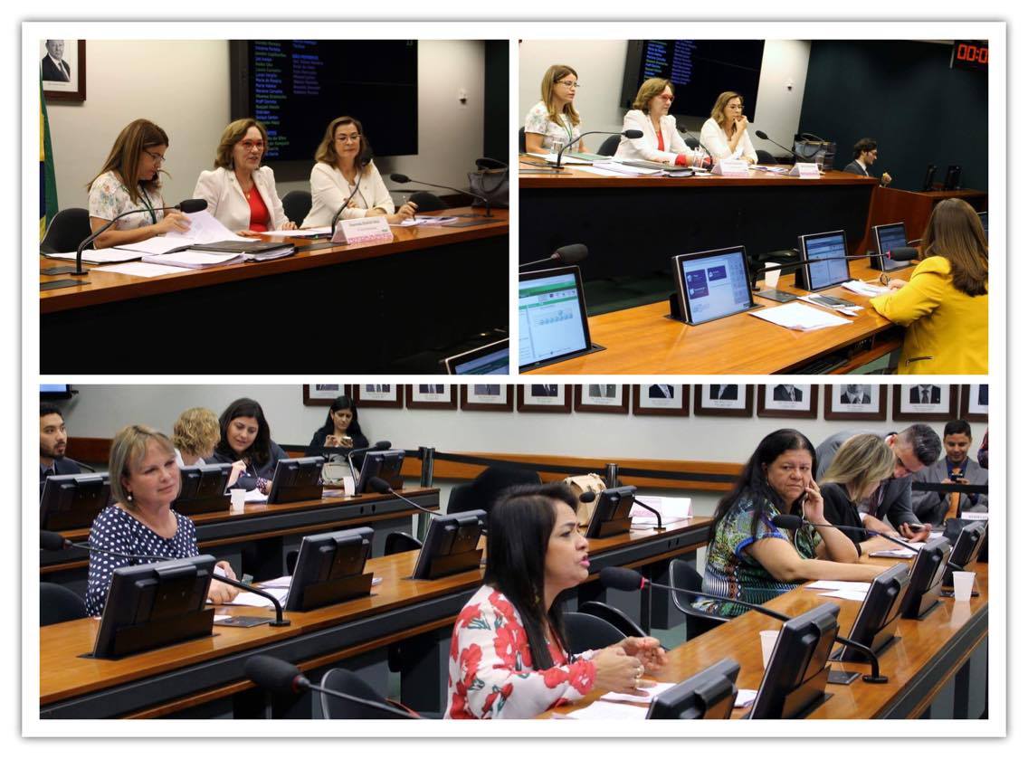 CMulher aprova projetos de lei e autoriza realização de audiências públicas