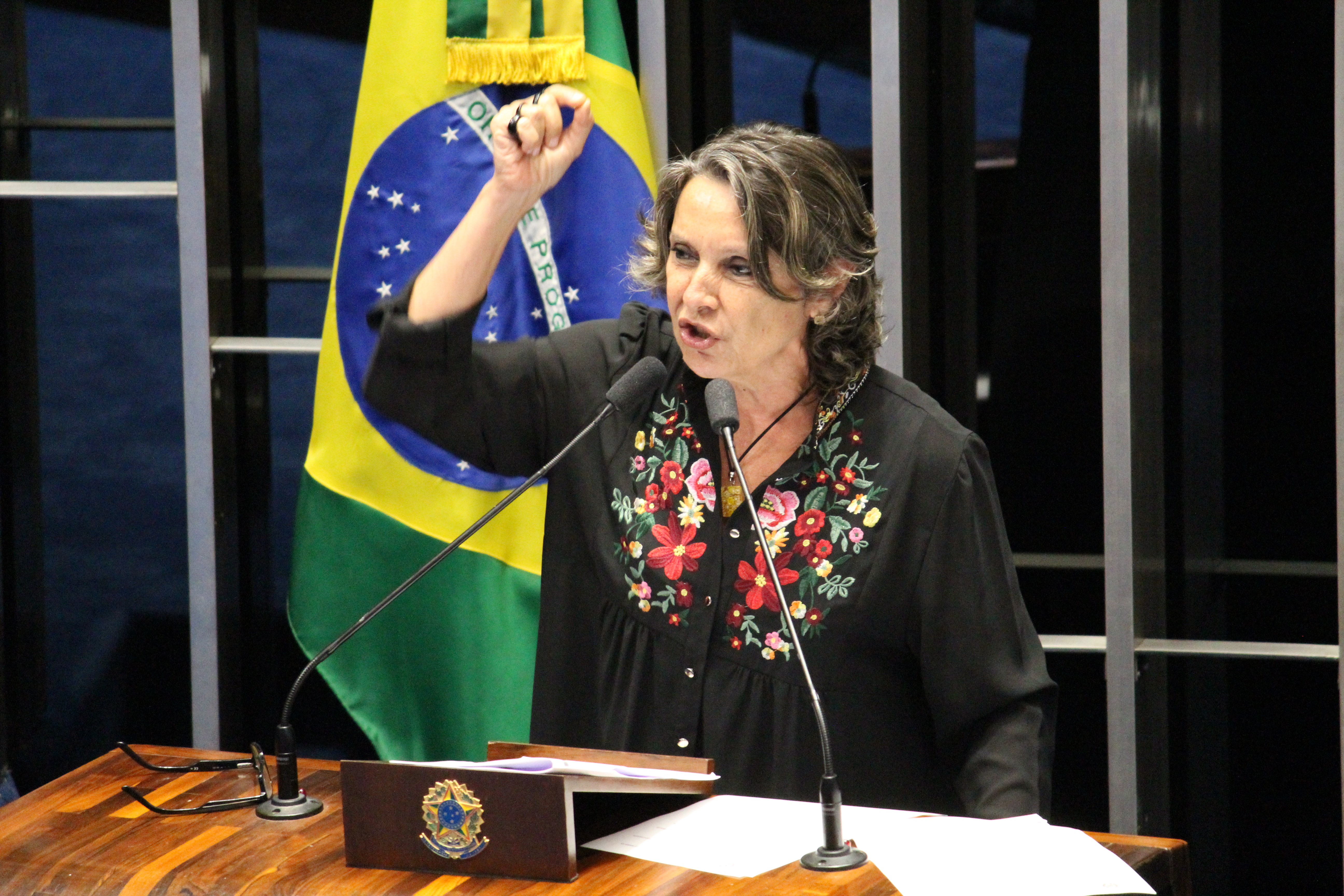 CMulher participa de Sessão Solene do Congresso Nacional para comemorar os 10 Anos da Lei Maria da Penha