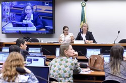 CMulher quer esclarecimentos a respeito da transferências dos recursos destinados às políticas para as mulheres pelo governo federal