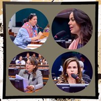 CMulher visitará Estados que não elegeram nenhuma parlamentar para a Câmara Federal na última eleição