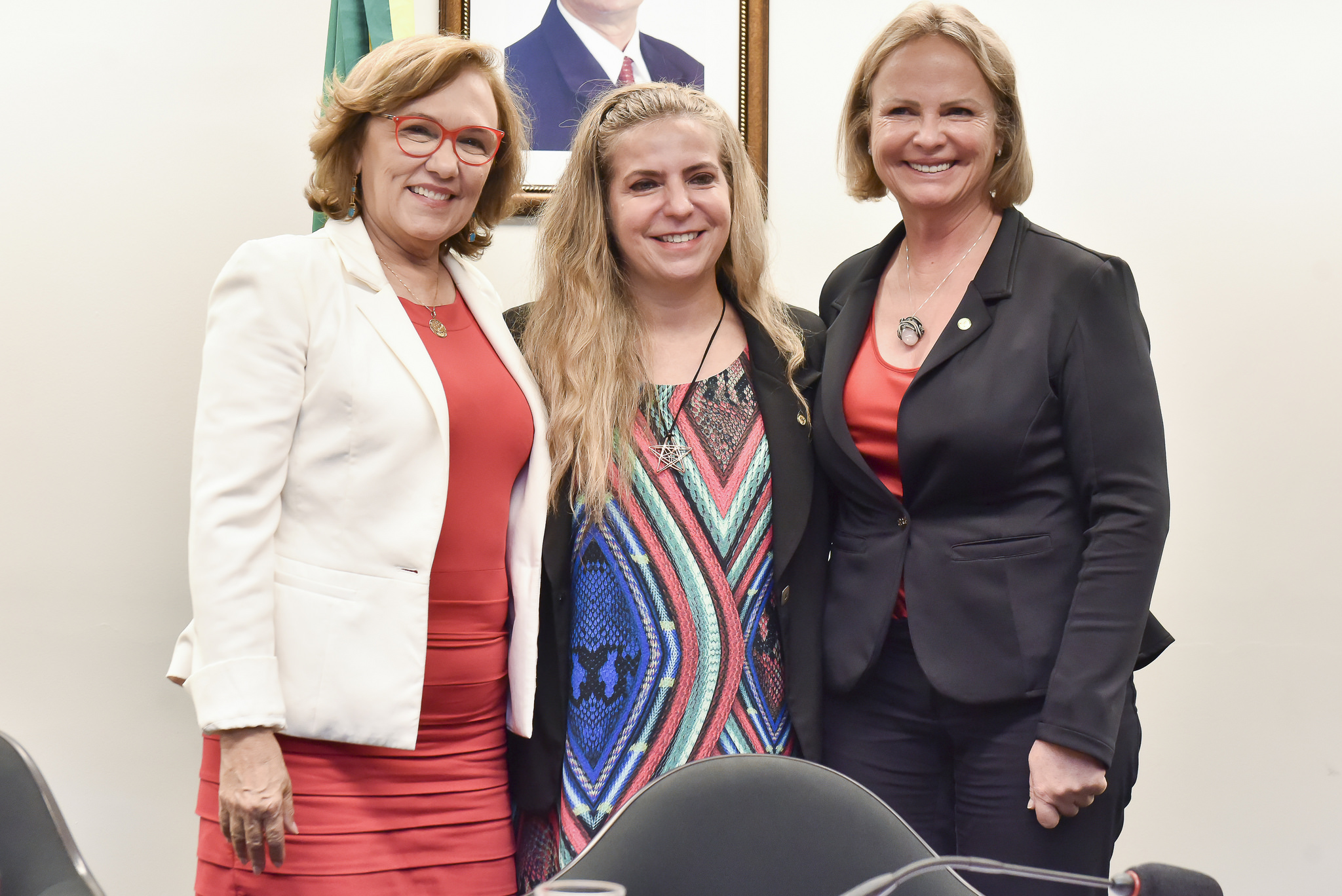 Comissão de Defesa dos Direitos da Mulher realizou eleição para Vice-Presidentas.