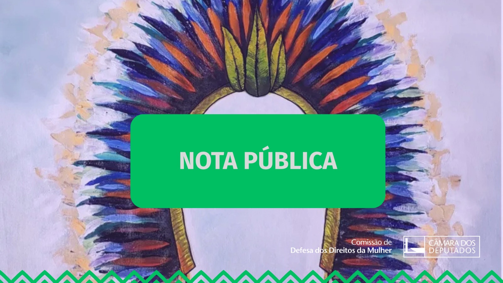 Solidariedade à Presidenta Célia Xakriabá