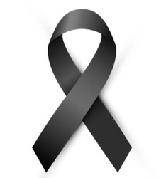 A Comissão de Defesa dos Direitos da Mulher lamenta profundamente o falecimento da Deputada Federal Amália Barros PL-MT