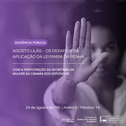 Audiência debate desafios da Lei Maria da Penha no combate à violência contra mulheres